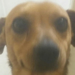 Meet your Posher, Manuel